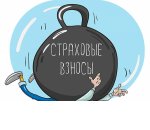 Понизит ли правительство страховые взносы?