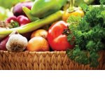 Первые национальные стандарты «зелёной» продукции утверждены в России