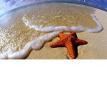 4 финансовых плюса совместного отпуска с друзьями 4 финансовых плюса совместного отпуска с друзьями