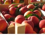 Роспотребнадзор хочет запретить уничтожать пригодные к употреблению продукты