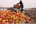 В ФТС раскрыли количество продуктов, уничтоженных за пять лет продэмбарго