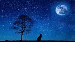 Пользователь Сергей Васильевич [uid:94649]