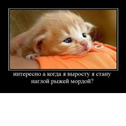 Пользователь Павел Романов [uid:85592]