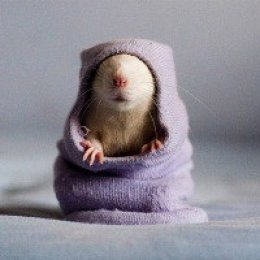 Пользователь Мотвиенко Стас Михайлович [uid:86845]