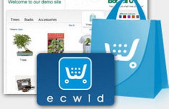 Стартап Ecwid привлек инвестиции фонда Runa Capital Стартап Ecwid привлек инвестиции фонда Runa Capital