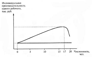 Рисунок 2. Характер изменения производительности труда на мебельном предприятии с увеличением численности рабочих