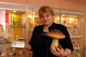 грибы грибы