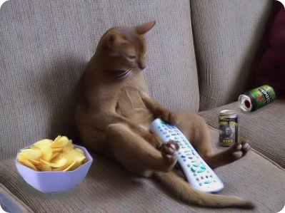 2-couch-potatoe.jpg