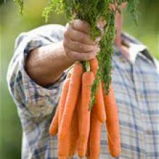 Почему до москвичей не доезжают экологичные продукты