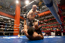 SpbFighters