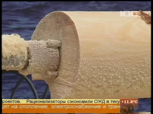 Малый бизнес отправят в лес