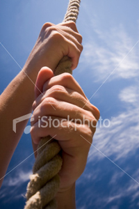 Фото: <noindex><a href=