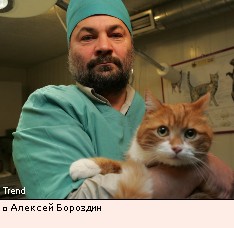 Алексей Бороздин 