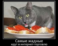 Интернет-магазины. Взгляд со стороны клиента  и ближайшие перспективы