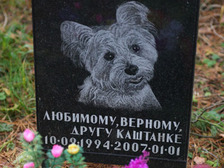  (фото ИТАР-ТАСС)