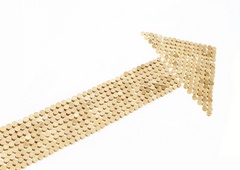 www.pmoney.ru: Что будет с рублем в 2012 году?