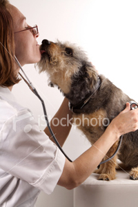 Фото: <a href=