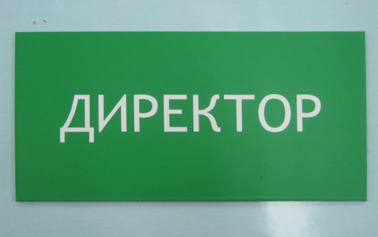 директор