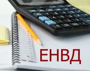 енвд