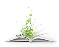 книга