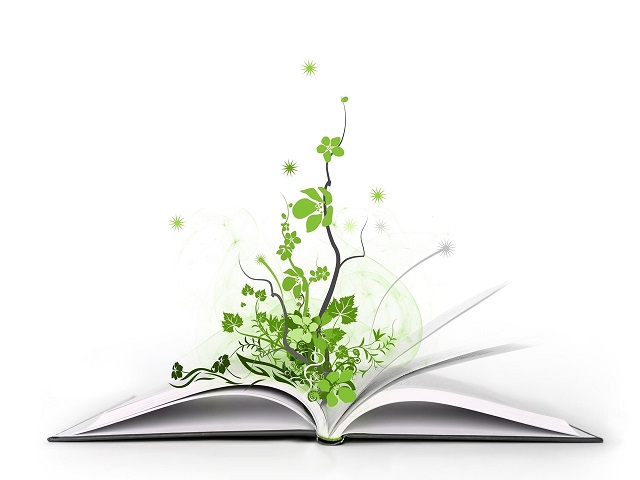 книга