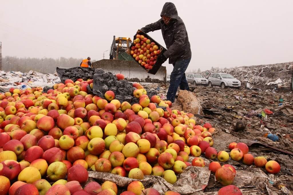 продукты